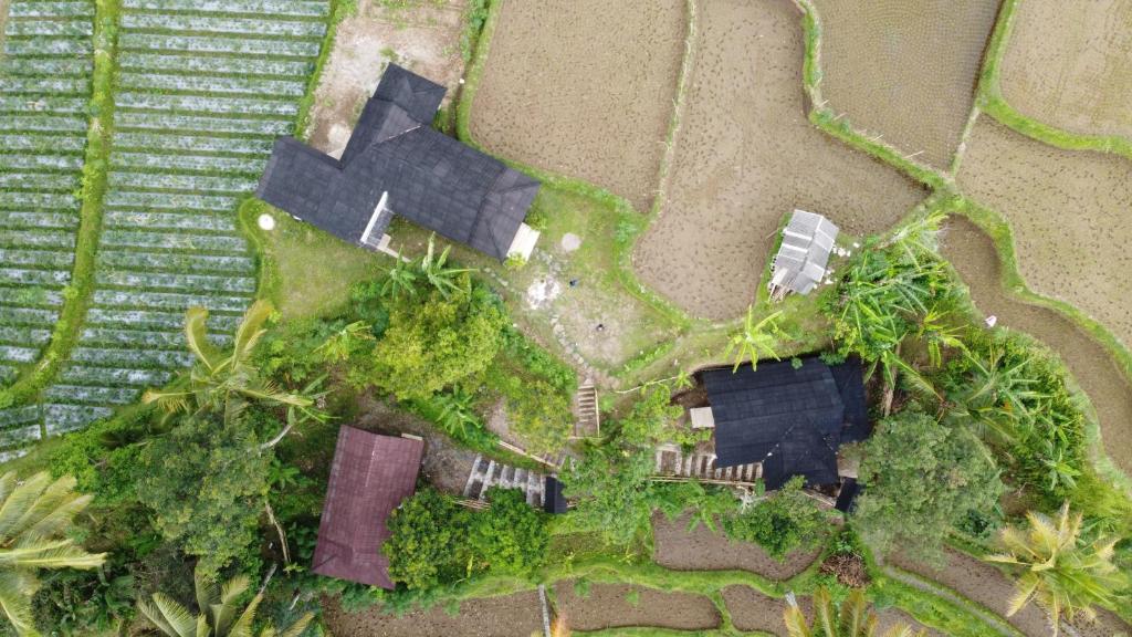 Zahrada ubytování Nea Cottage Lombok