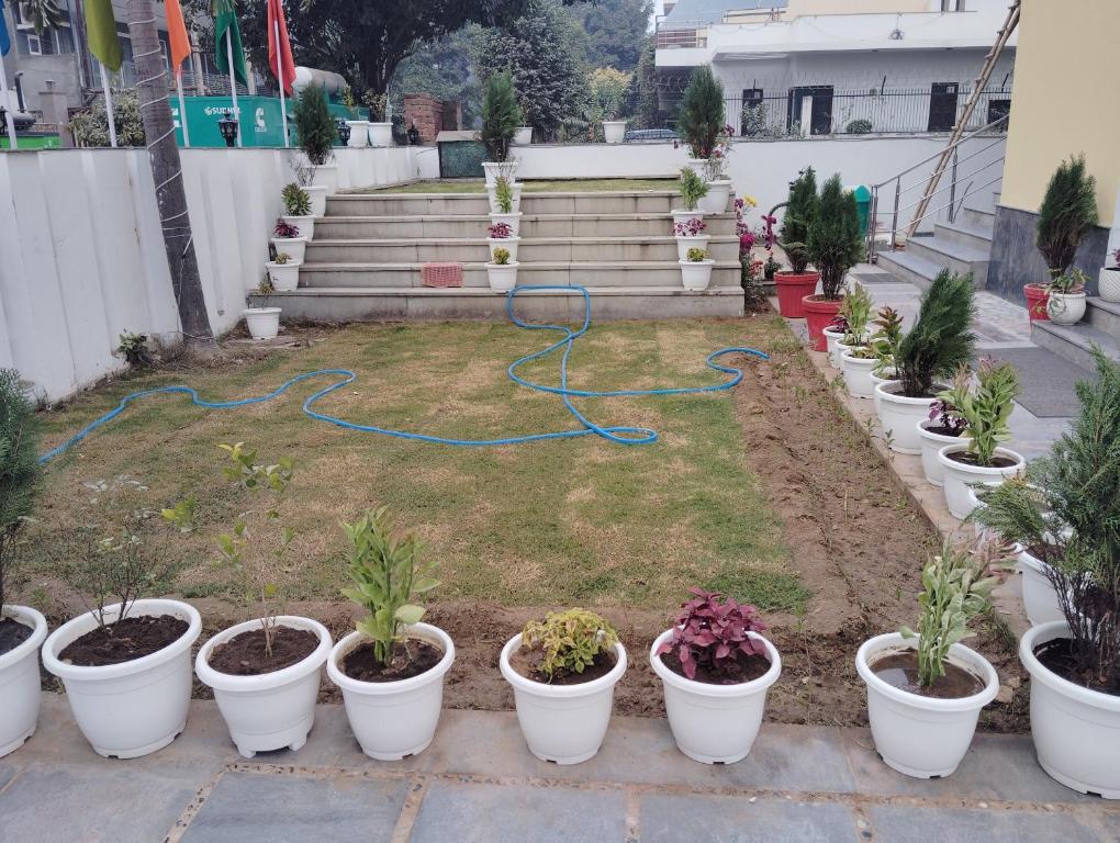 un jardín con un montón de macetas en Spark inn, en Gurgaon