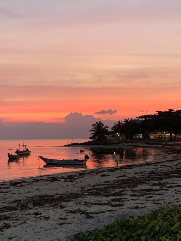 Gallery image of Our Memories in Ko Phangan