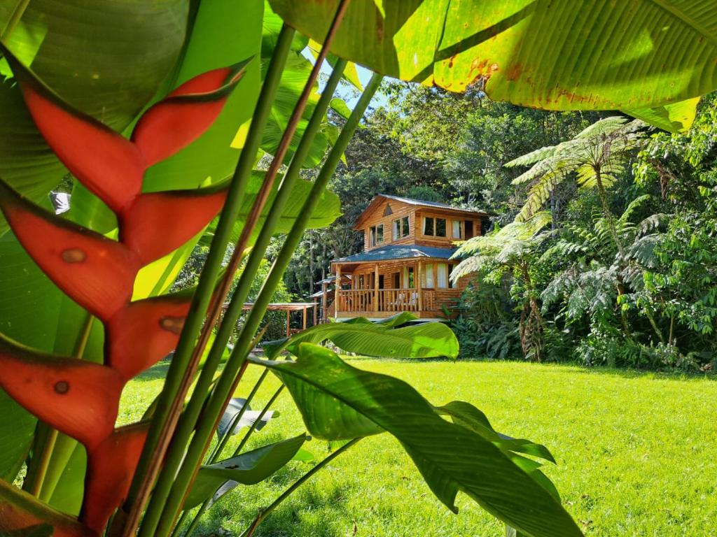 a house is seen through the leaves of a tree at Refugio de Orquídeas in Oxapampa