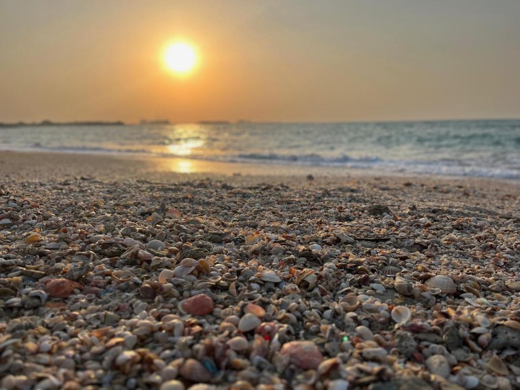 a beach with a large amount of rocks at Ocean Breeze in Ras al Khaimah