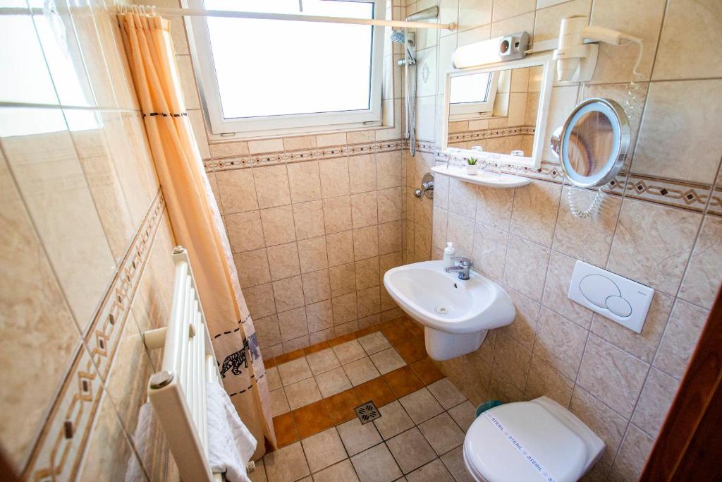 a small bathroom with a toilet and a sink at Richter Pansion in Budapest
