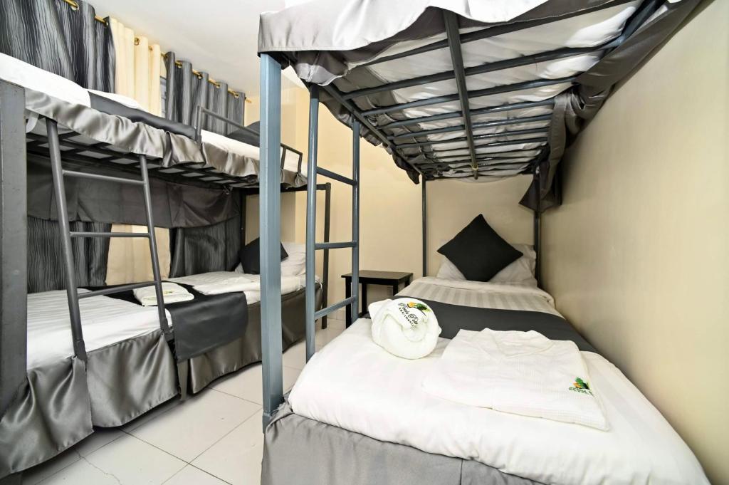 Peak Point Apartments Baguio - Appartement Avec Vue Sur La Montagne