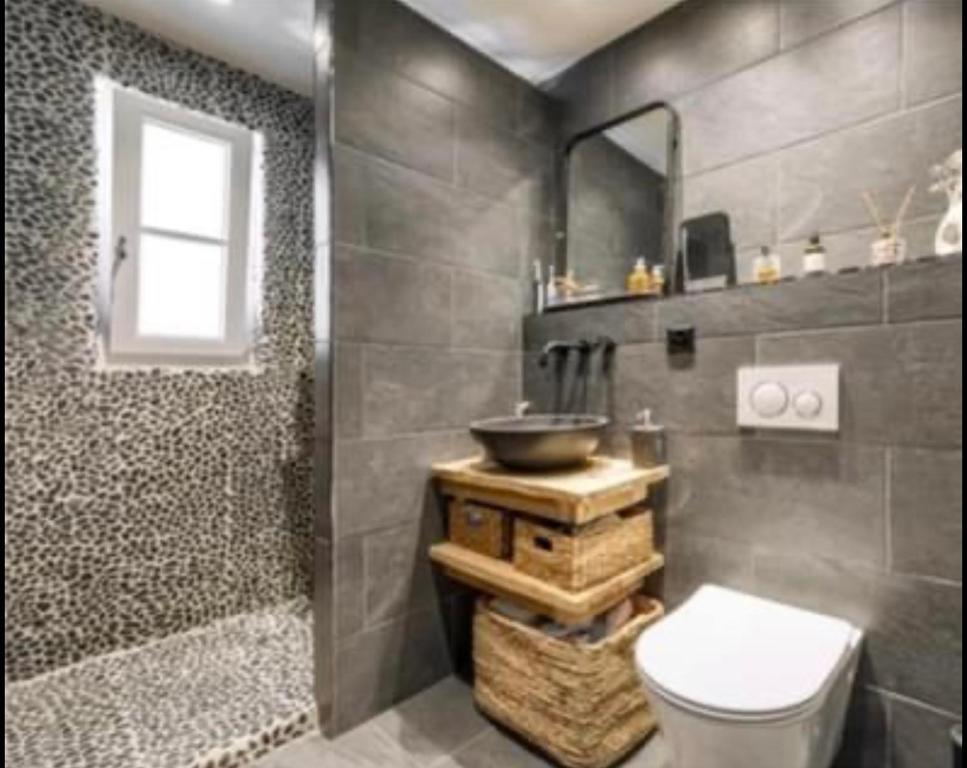 ein Bad mit einem Waschbecken, einem WC und einer Dusche in der Unterkunft Appartement haussmanien rénové proche centre Lausanne in Lausanne