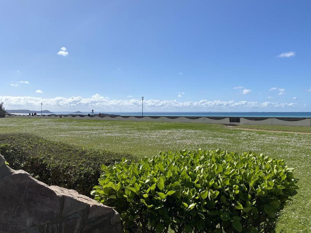 un bush dans un champ avec l'océan en arrière-plan dans l'établissement 400 - Magnifique T3, les pieds dans l'eau, à Caroual