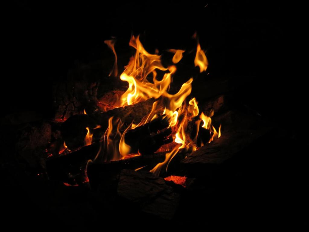 a fire burns in a fireplace at night at A Shack In The Woods in Port Renfrew