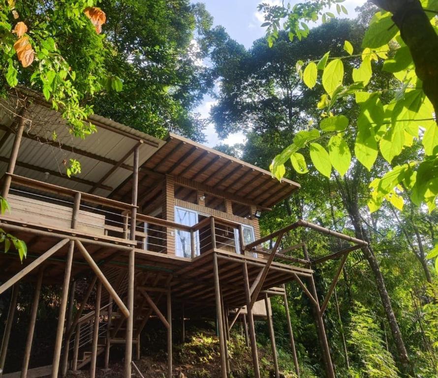 a tree house in the middle of the forest at La Chagra VIP in Villavicencio