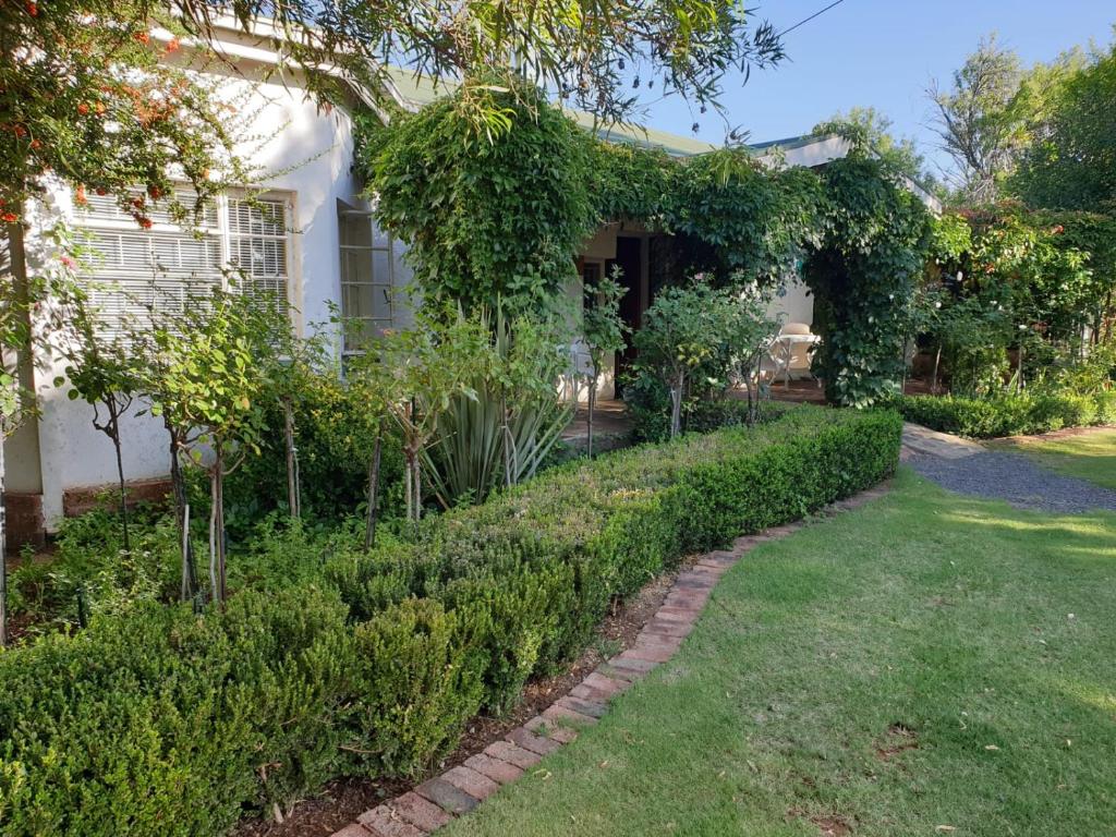 uma casa com um jardim com arbustos e uma passagem em Springfontein Guesthouse em Springfontein