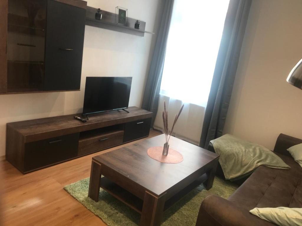 ein Wohnzimmer mit einem Sofa und einem Couchtisch in der Unterkunft Mimalou Apartment in Zwickau in Zwickau