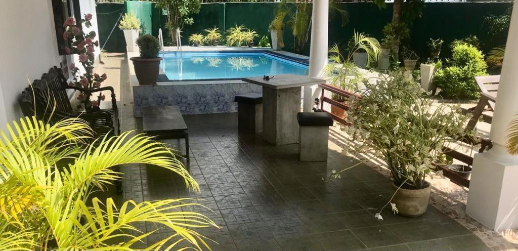 a patio with a pool with a table and plants at Kingz and Queenz - Negombo in Negombo