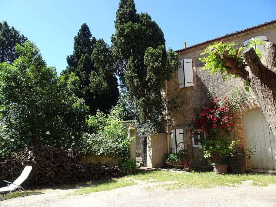 une maison avec un arbre et une chaise en face de celle-ci dans l'établissement Sigean - Maison domaine viticole, 6 km de la mer, à Sigean
