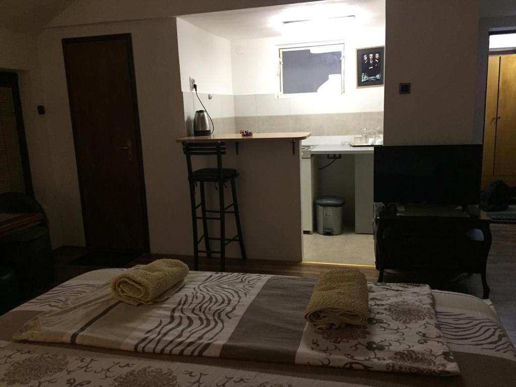 Kuchyň nebo kuchyňský kout v ubytování Apartman Birboni Pul ZEMUN