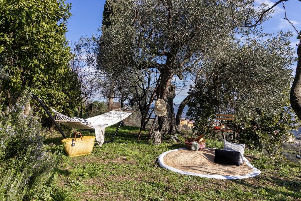 a park with a hammock and a chair in the grass at Castellara Green House - Colline di Lerici in Arcola