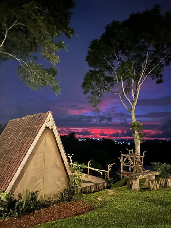 a tent in a field with a tree at night at KAMPUNG KOPI CAMP in Pujungan