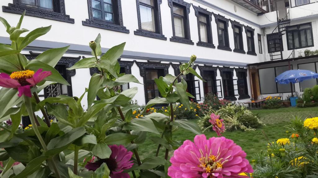 Zahrada ubytování Hotel Heranya