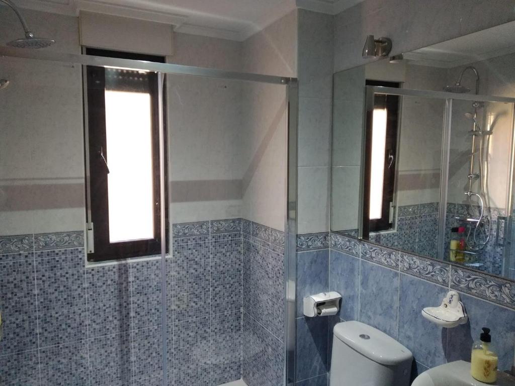 a bathroom with a toilet and a glass shower at VUT Casa Miranda 51 in Salamanca