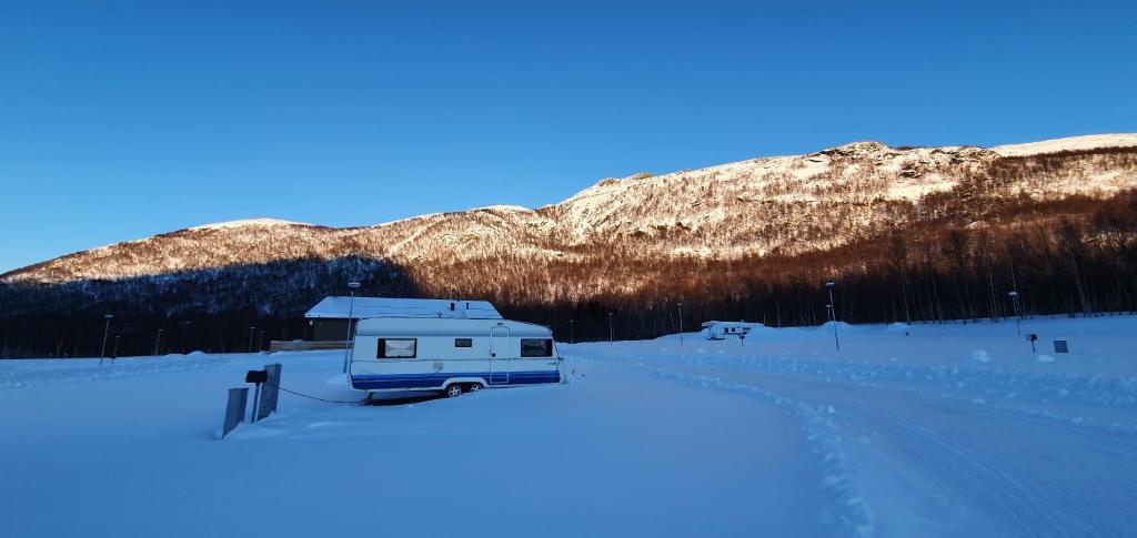 Umfors Camping