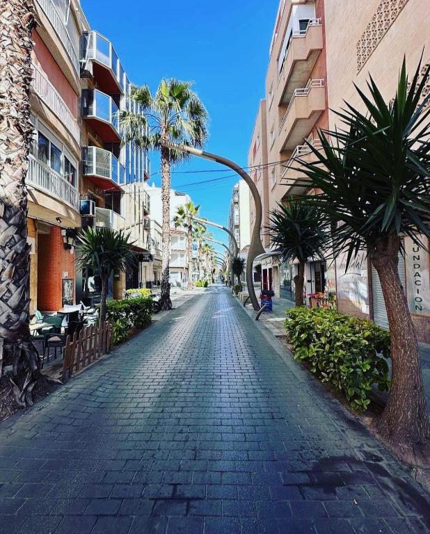 an empty city street with palm trees and buildings at Apartment Cura in Torrevieja