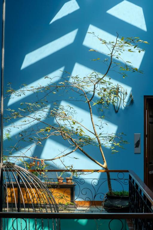 Fotografie z fotogalerie ubytování Kandy Dendrobium House v destinaci Kandy