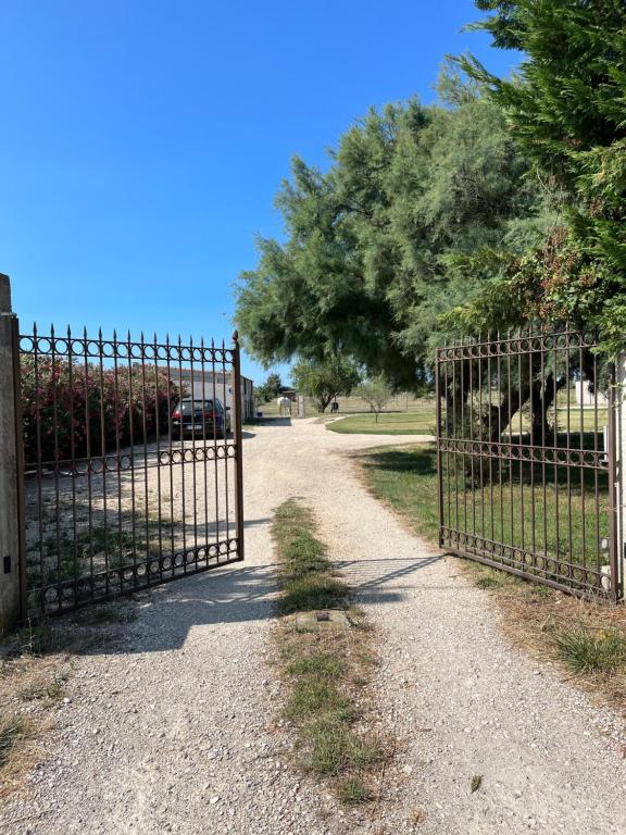 a metal gate on a gravel road next to a tree at « La Parenthèse » gîte en Camargue in Arles