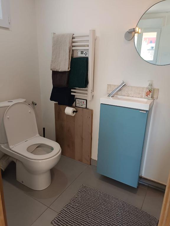 a bathroom with a white toilet and a mirror at 2Appartement dans un pavillon ac vue sur le jardin in Argenteuil