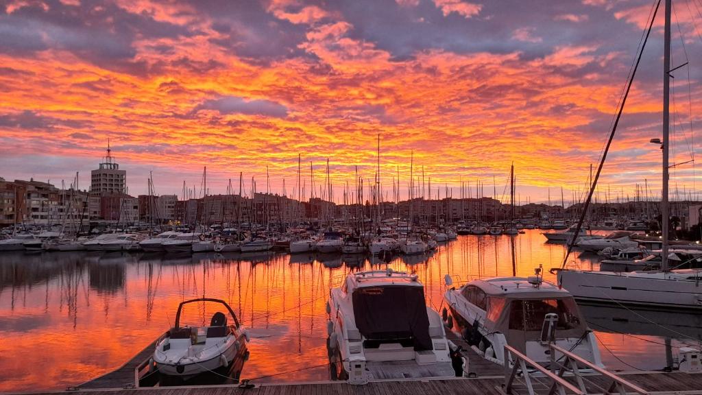 eine Gruppe von Booten, die bei Sonnenuntergang in einem Yachthafen angedockt sind in der Unterkunft Cap Saint Martin Marina in Cap d'Agde