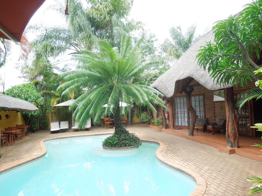 a swimming pool with a palm tree in front of a house at Trees Too Guest Lodge in Komatipoort