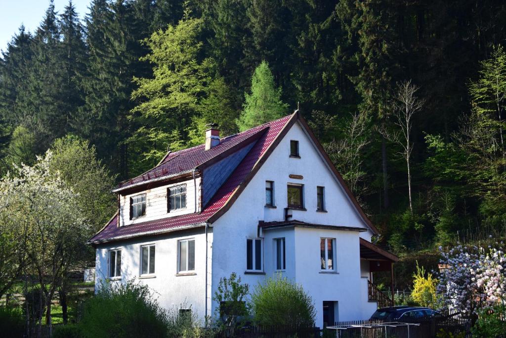 een wit huis met een rood dak bij Haus Waldberg in Unterschönau