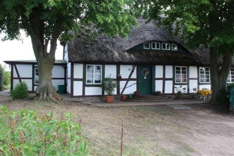 a white and black building with a thatch roof at Landhaus Damerow 1 in Federow