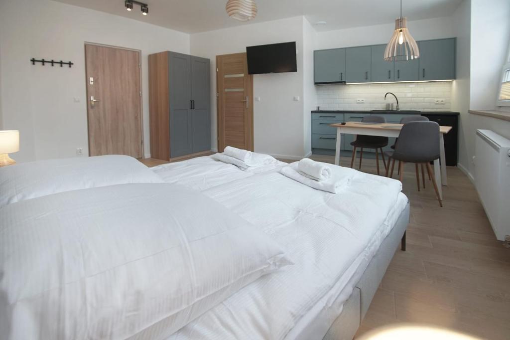 Apartamenty 110 Okrąglak Stronie Śląskie - Studio