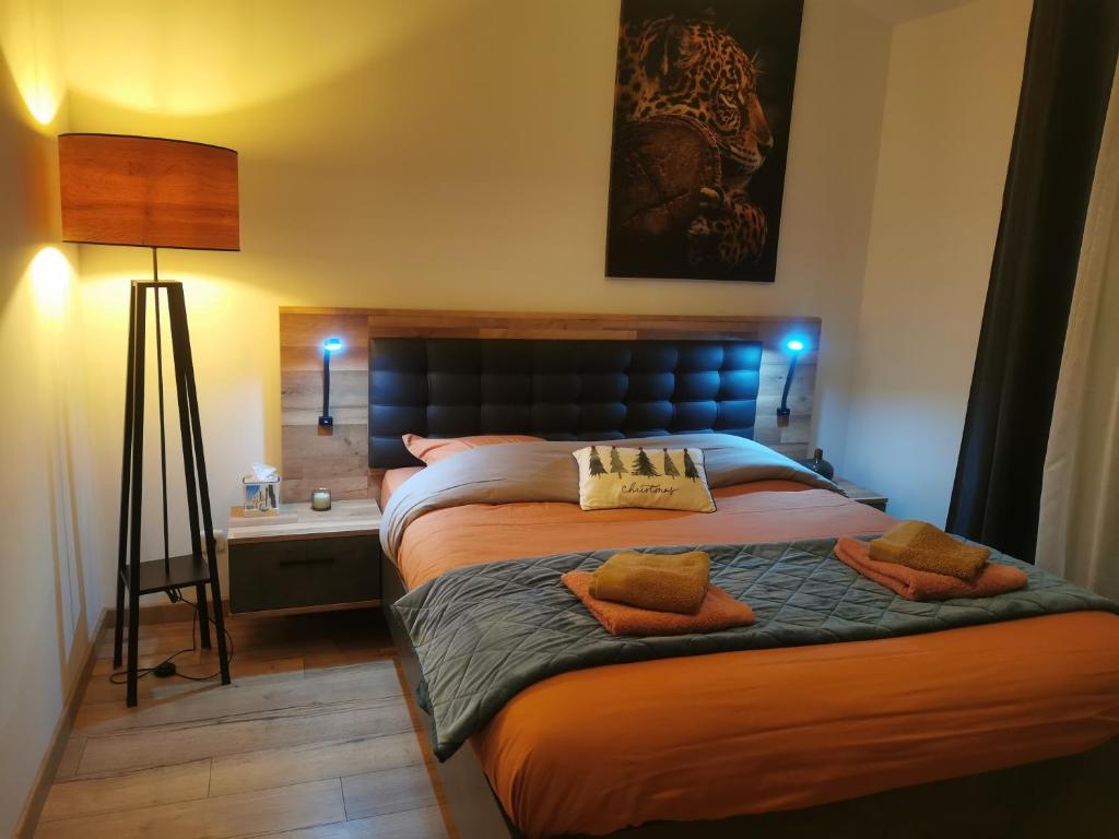 シャンプニエにあるAngoulême Nord location Chambre indépendanteのベッドルーム1室(大型ベッド1台、枕2つ付)