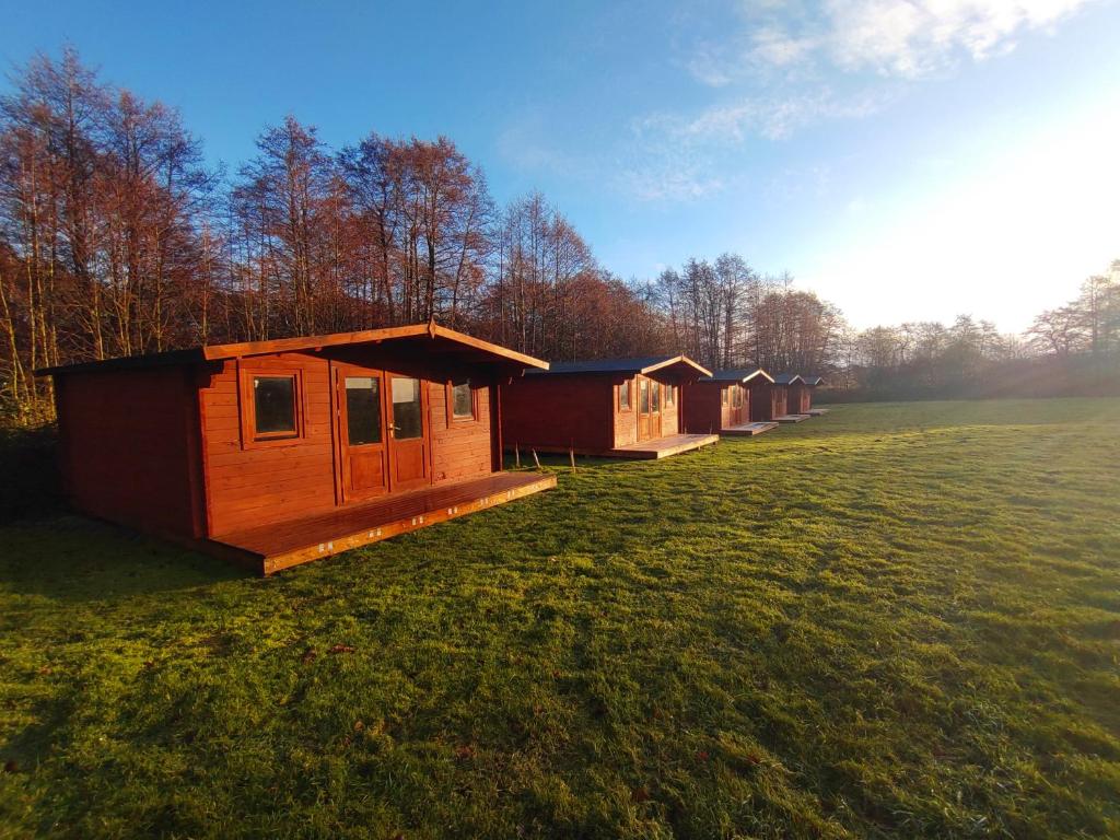 a row of lodges in a field of grass at X Adventure in Horsford