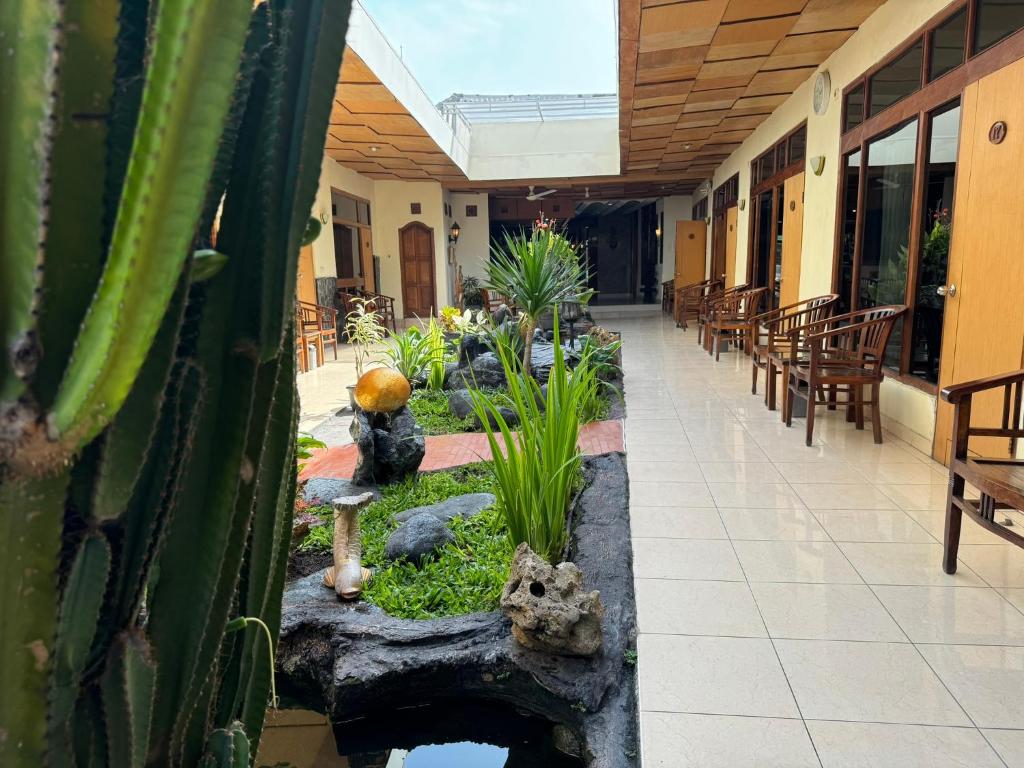 Zahrada ubytování Hotel Priangan