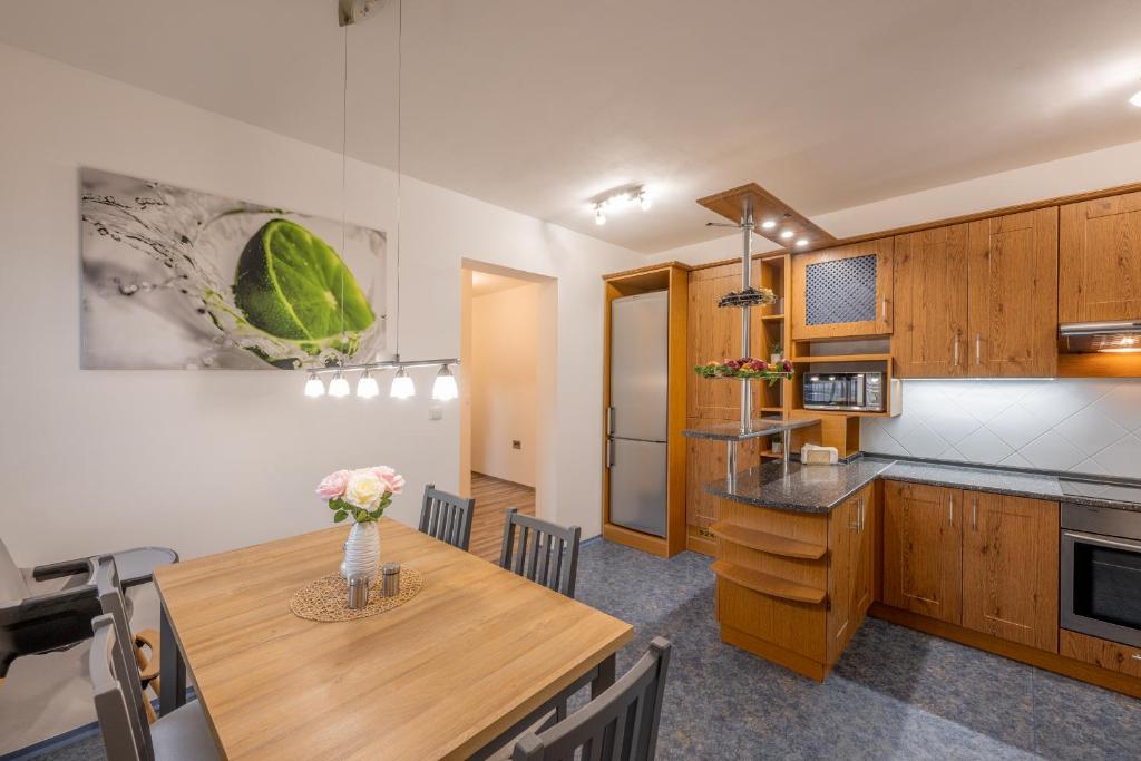 Kuchyň nebo kuchyňský kout v ubytování Apartmán Karin