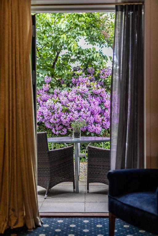 Zahrada ubytování Hotel Scheelsminde