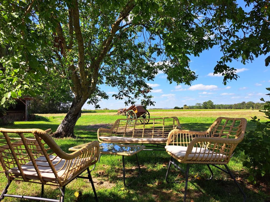 LA ROULOTTE DE FLORETTE avec jacuzzi gratuit - Housity