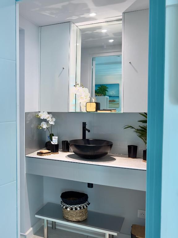 a bathroom with a sink and a mirror at Sun Caraibes in Orient Bay
