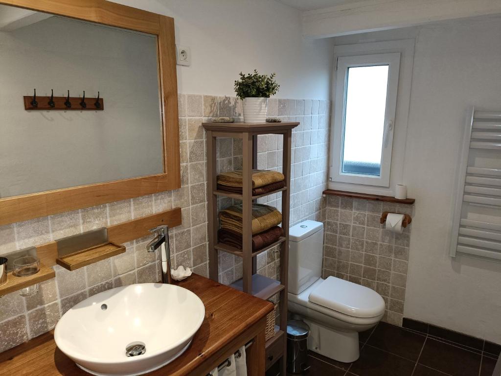 a bathroom with a sink and a toilet and a mirror at Lovely cottage in Honfleur center in Honfleur