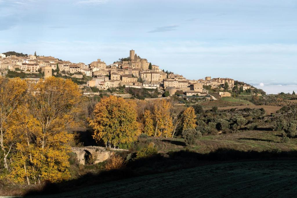 una ciudad en la cima de una colina con árboles en Parador de Sos del Rey Católico en Sos del Rey Católico