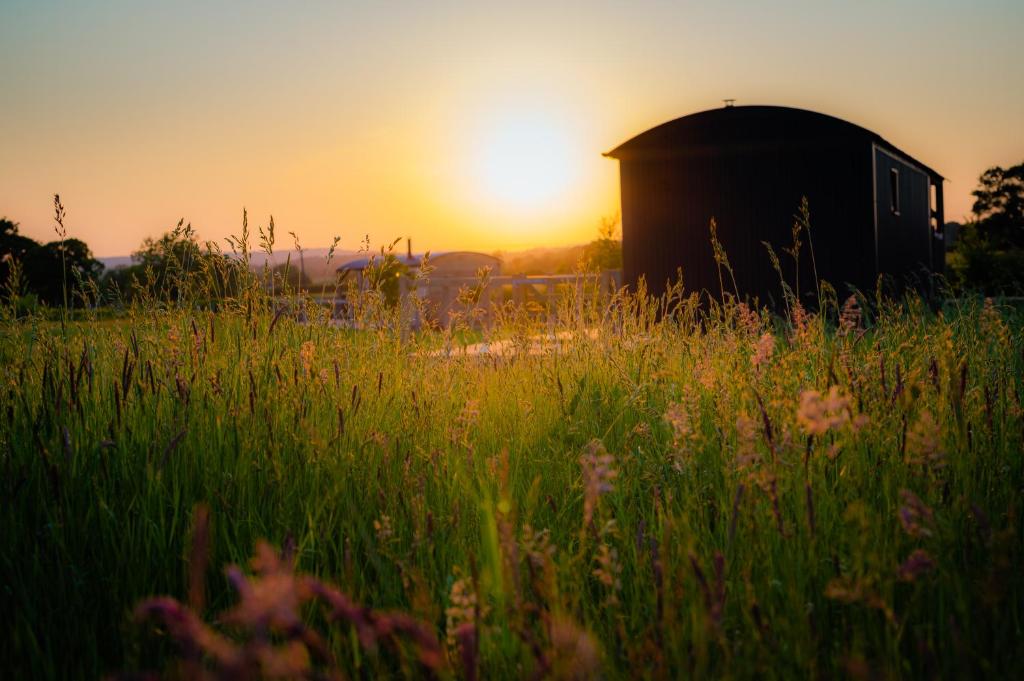 a barn in a field with the sunset in the background at Gooseberry Shepherds Hut in Worcester