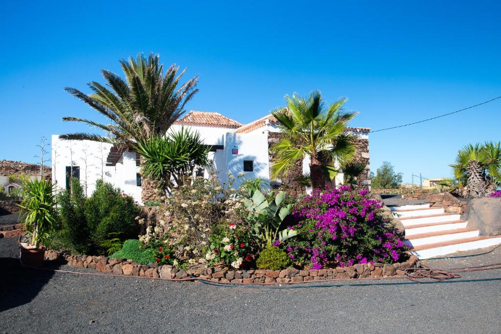 a house with palm trees and flowers in the street at Castillo de Villaverde in Villaverde