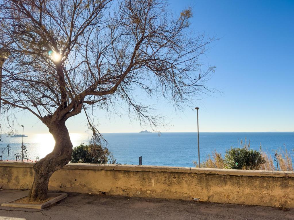 a tree sitting next to a wall next to the ocean at Bilocale vista mare al Castello in Piombino