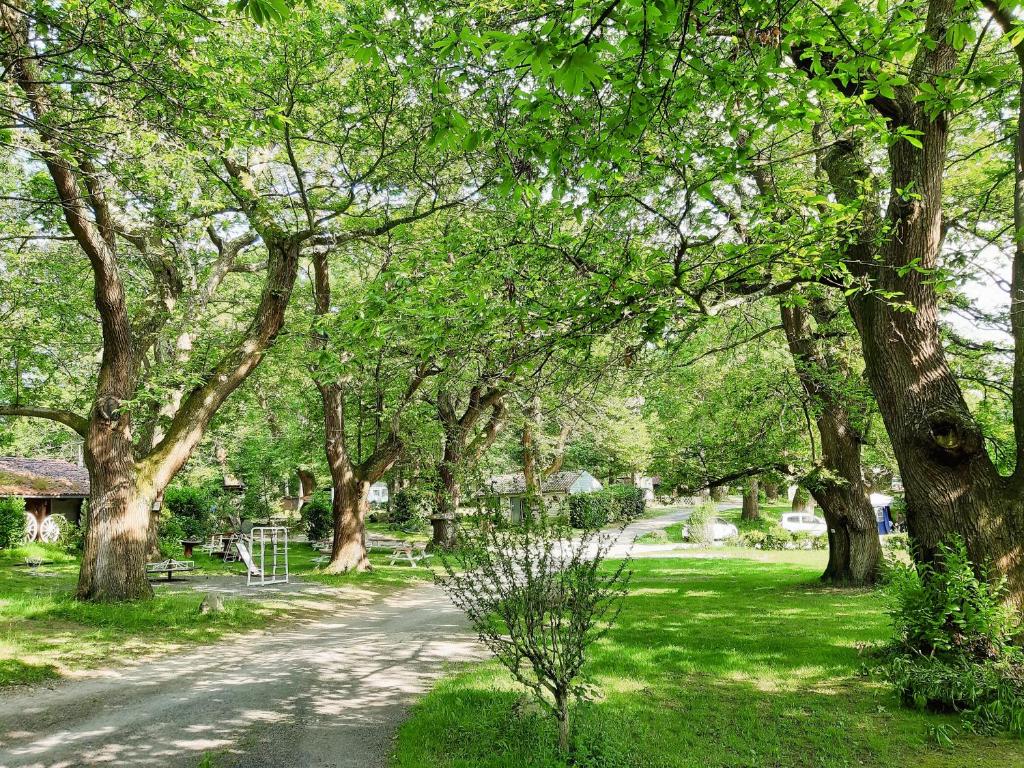 a dirt road through a park with trees at Camping le Rural- 3 étoiles in Tibiran-Jaunac