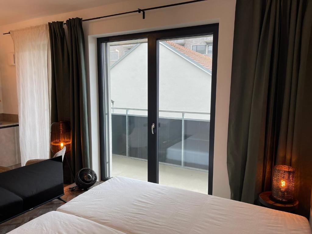 Theatre Brno Apartments - 10