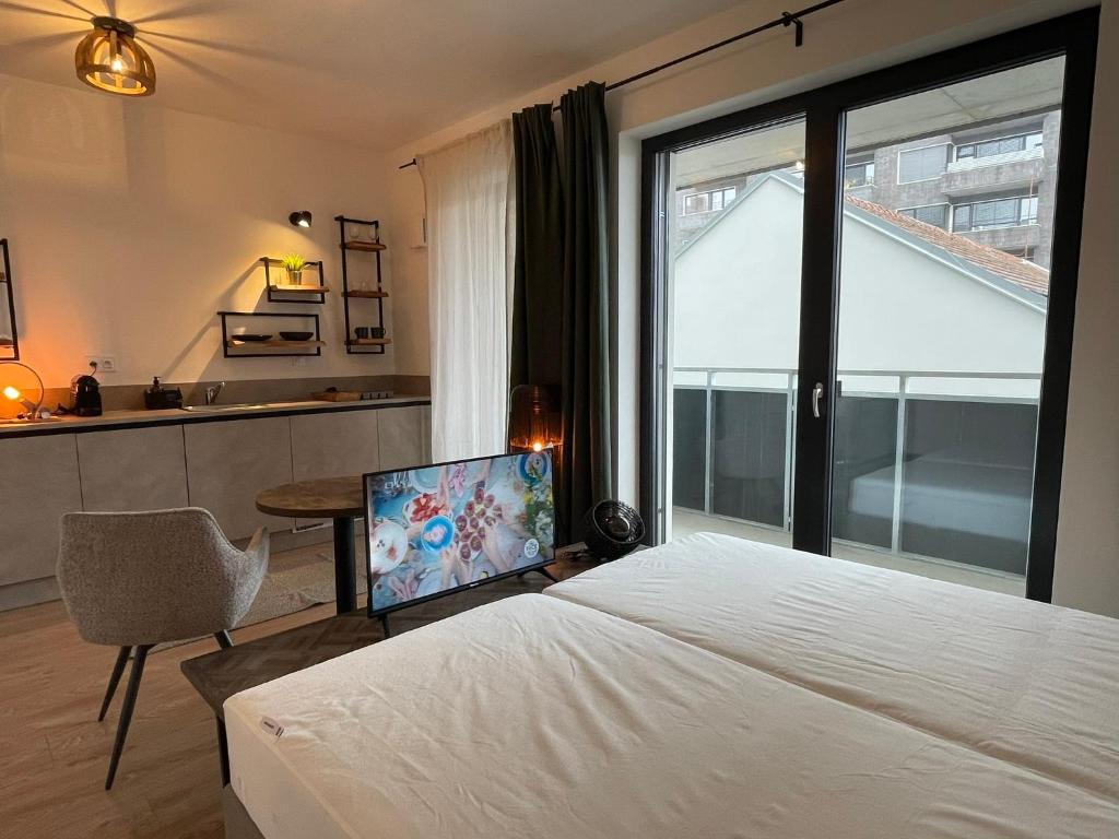 Theatre Brno Apartments - 1