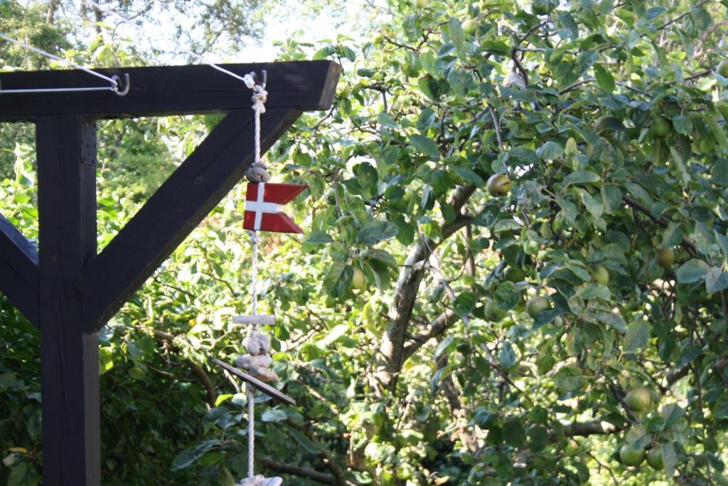 a flag on a pole next to a tree at Holiday-Skagen in Skagen