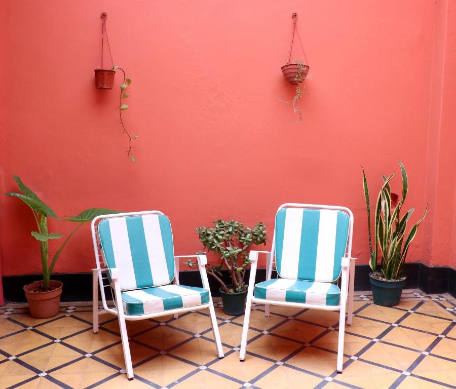 dos sillas sentadas junto a una pared con plantas en Hermoso PH en Buenos Aires! en Buenos Aires