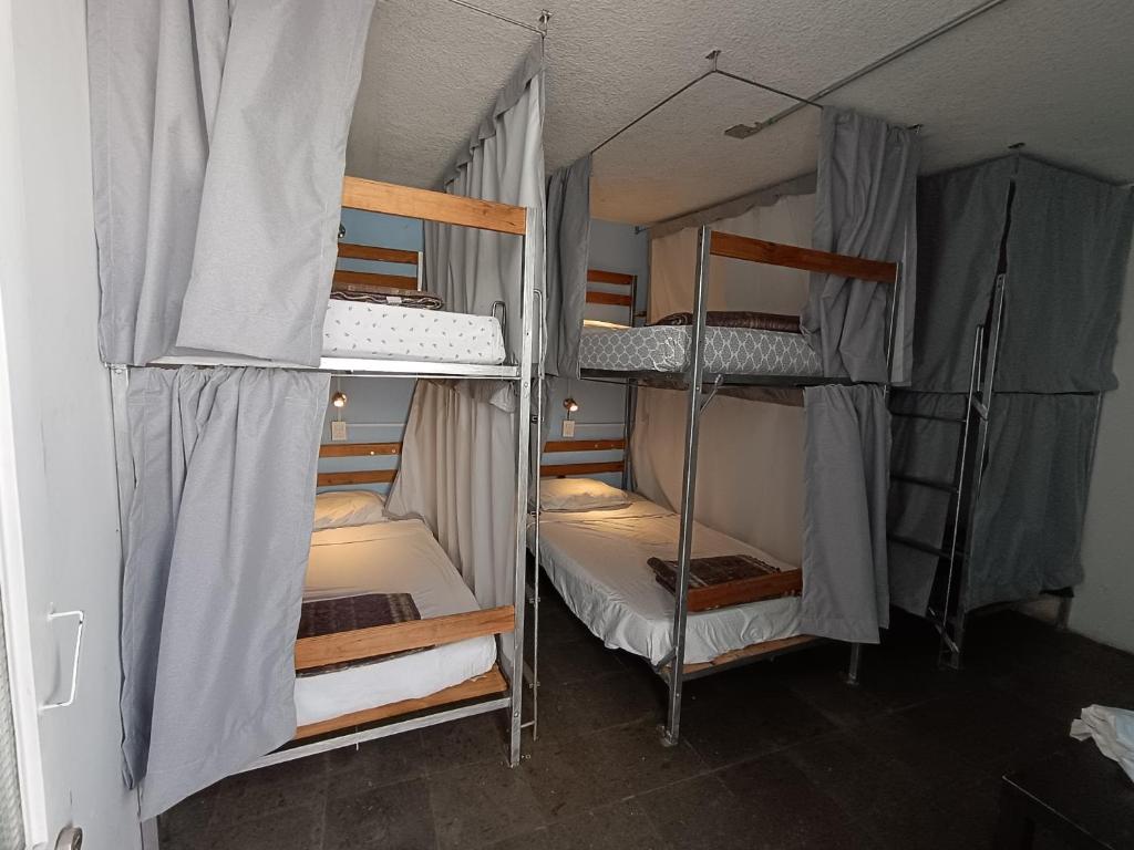 Postel nebo postele na pokoji v ubytování Monkey Safari Hostel