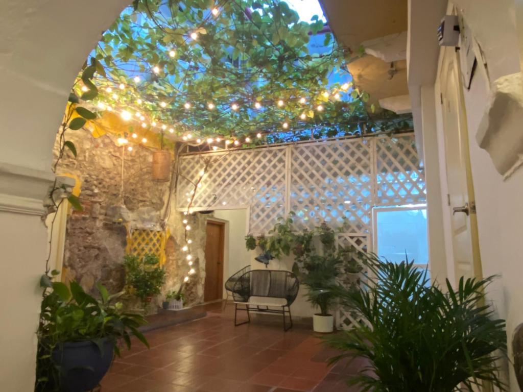 Cette chambre dispose d'un plafond avec des lumières et des plantes. dans l'établissement Casa Zaguan, à Carthagène des Indes