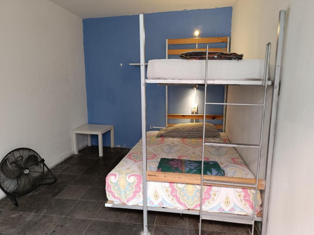Postel nebo postele na pokoji v ubytování Monkey Safari Hostel